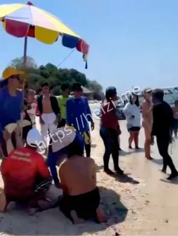 悲剧内幕