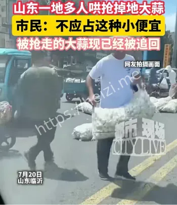 兰陵县