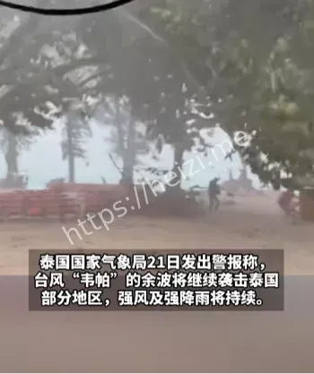 登陆