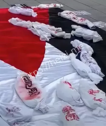 艺术装置