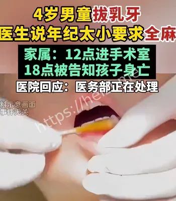 背后原因