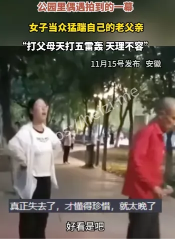 公园冲突