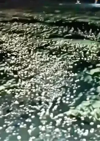 台风韦帕