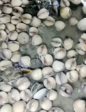 北海沙滩
