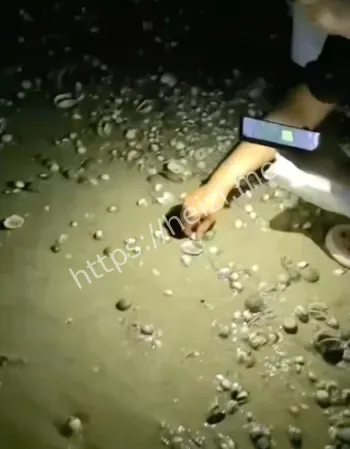 安全提醒