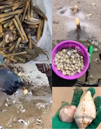 北海沙滩