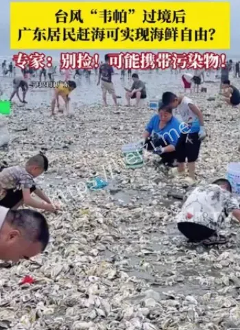 游客狂欢