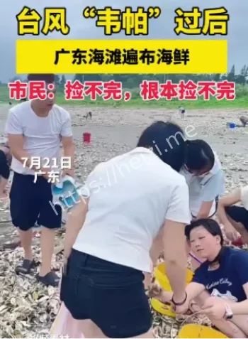 台风韦帕