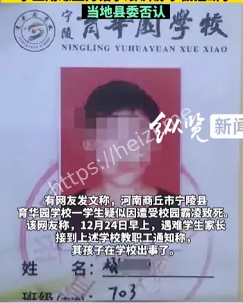学生坠亡