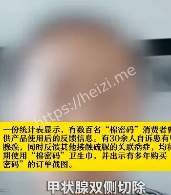 棉密码