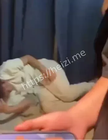聊天记录