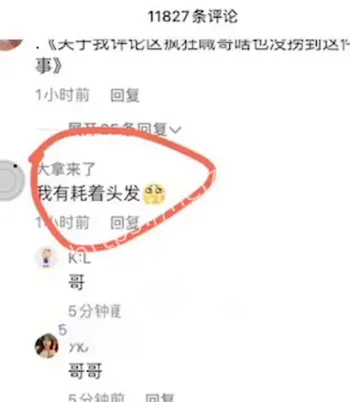 赵梓婷