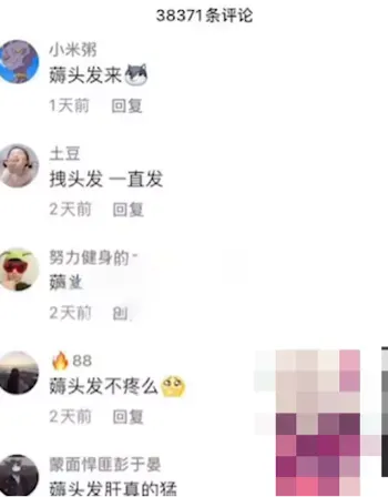 薅头发