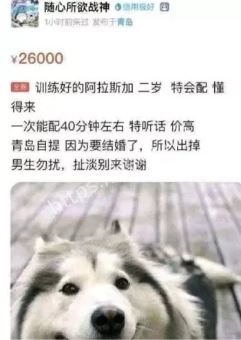 集美新玩法