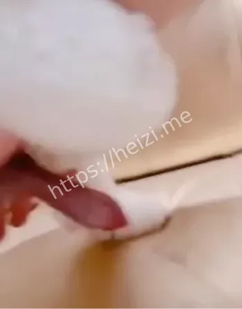 宠物犬