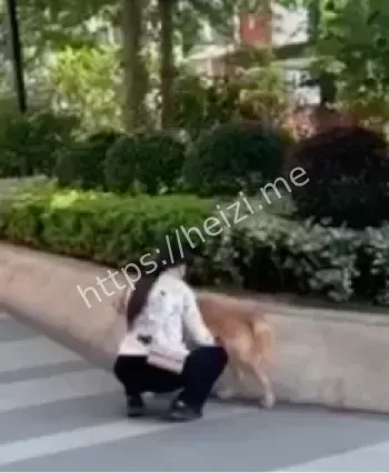 网络热议