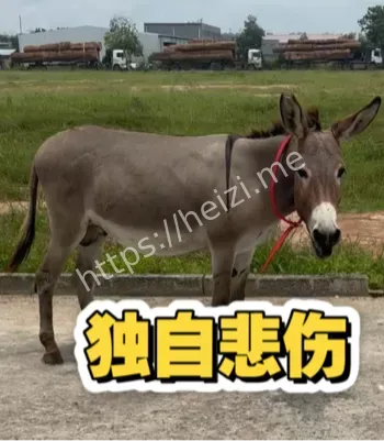 灵异传闻