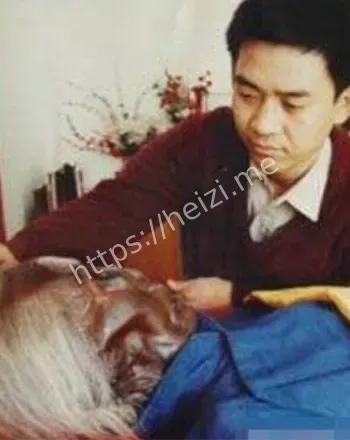 古墓发掘