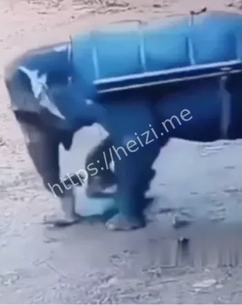 保护区