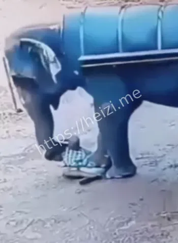 踩踏身亡