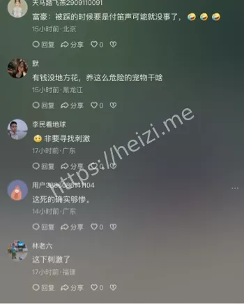 大象