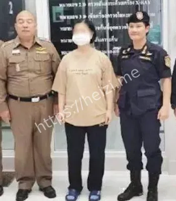 反腐追逃