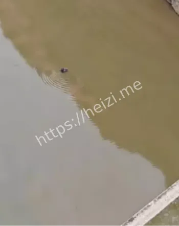 落脚河大桥
