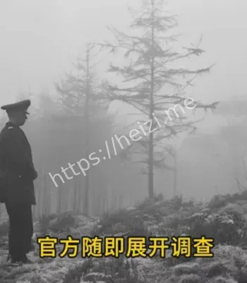 德奇蒙特森林