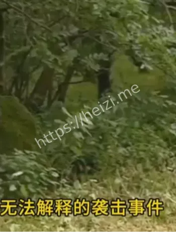 外星生物袭击