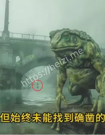 黑子网爆料