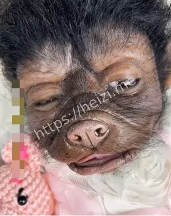 上海猪人