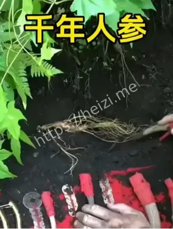 黑子爆料