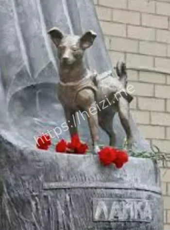 毛发全白