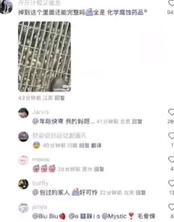 6名大学生