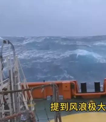疯狗浪