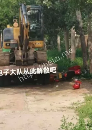 山东网红