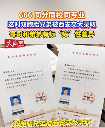 双胞胎兄弟