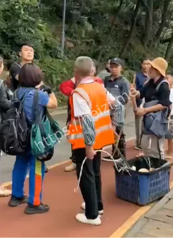 网络曝光