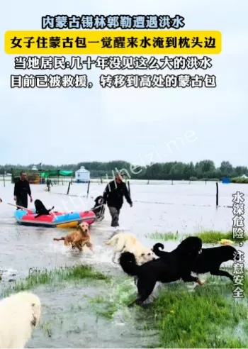 百年罕见洪水