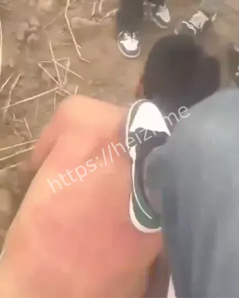 脱衣狗爬