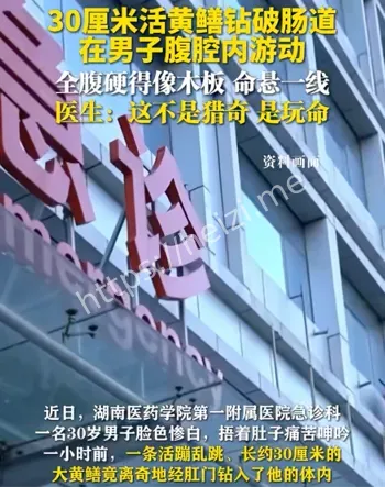 湖南医药学院