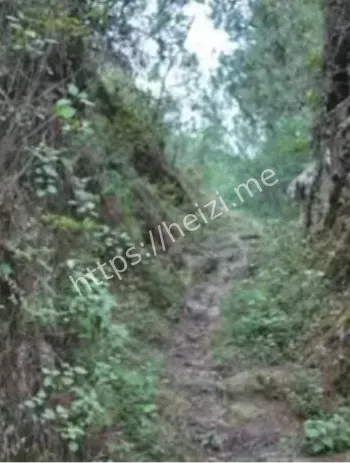 沙林风景区