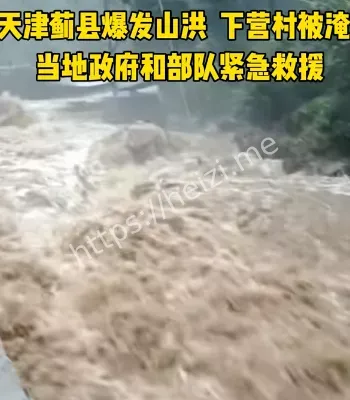 人性光辉