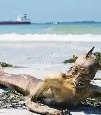 海洋未解之谜