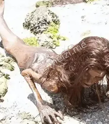 美人鱼传说