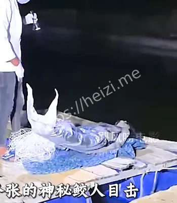 人身鱼尾