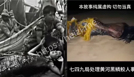 美人鱼传说