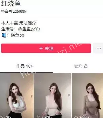 红烧鱼