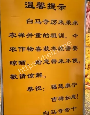 出家