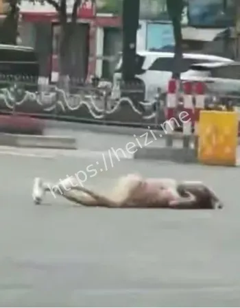 新型毒品